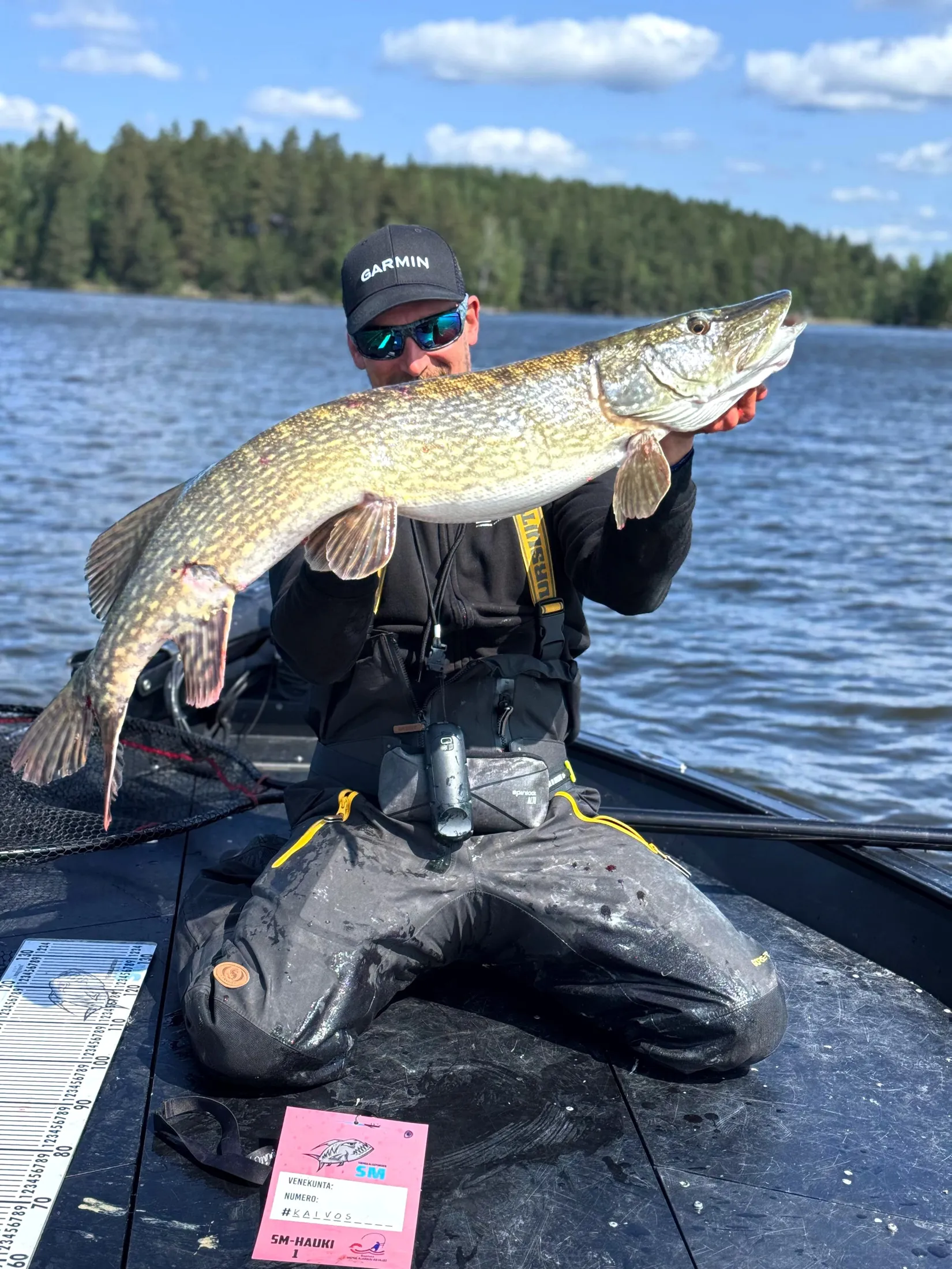 Pike fish image