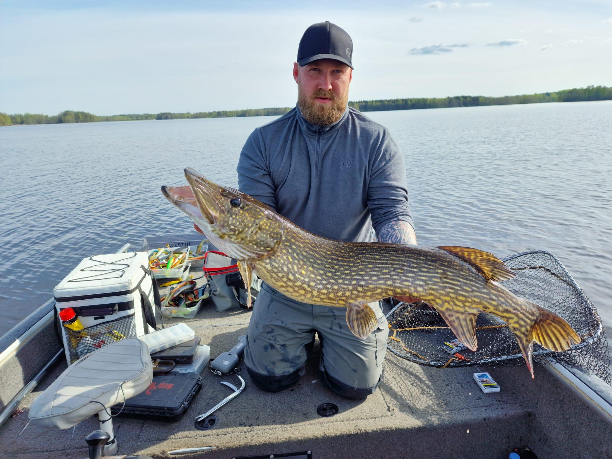 Pike fish